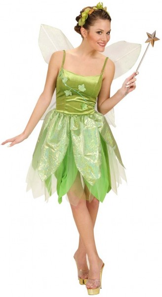 Charity forest fairy costume