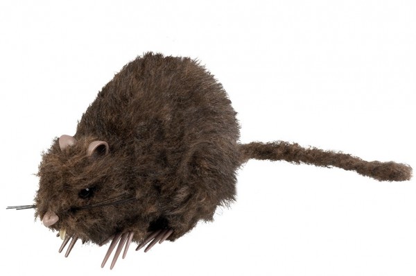 Ranzige Räuber Ratte 15 x 8cm
