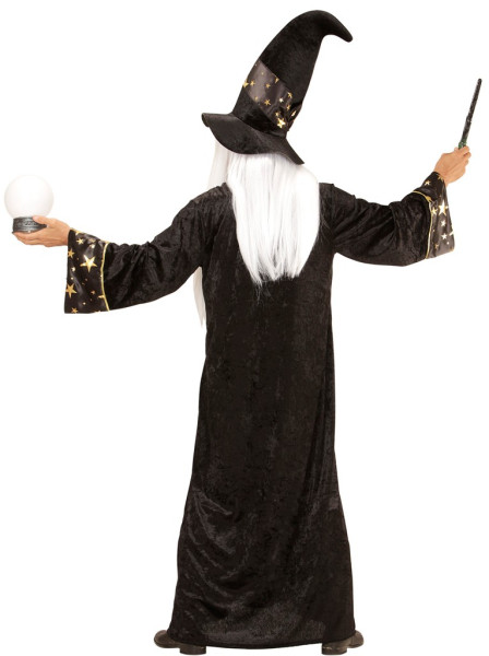 Wizard Albrich mænds kostume 3