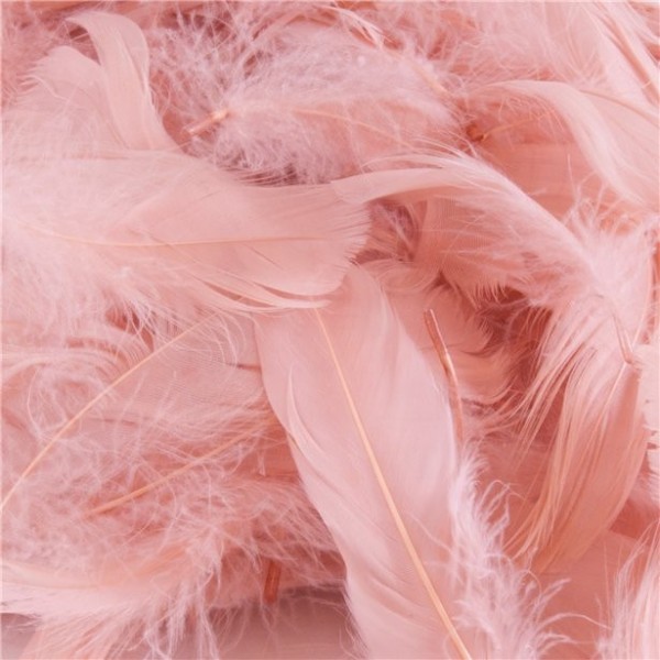 50g rose gold feathers
