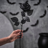 Preview: Floral Stem- Single Black Rose