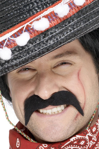 Moustache noire de bandit mexicain