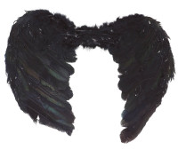 Widok: Skrzydła z piór czarne o wymiarach 50cm x 40cm