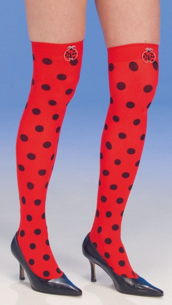 Overknees stockings ladybug