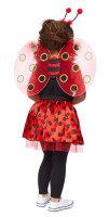 Voorvertoning: Lieveheersbeestje kostuumset voor meisjes