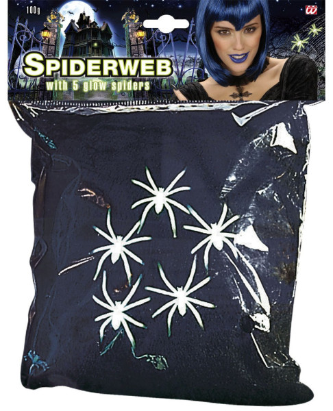 Toile d'araignée pour Halloween avec araignées