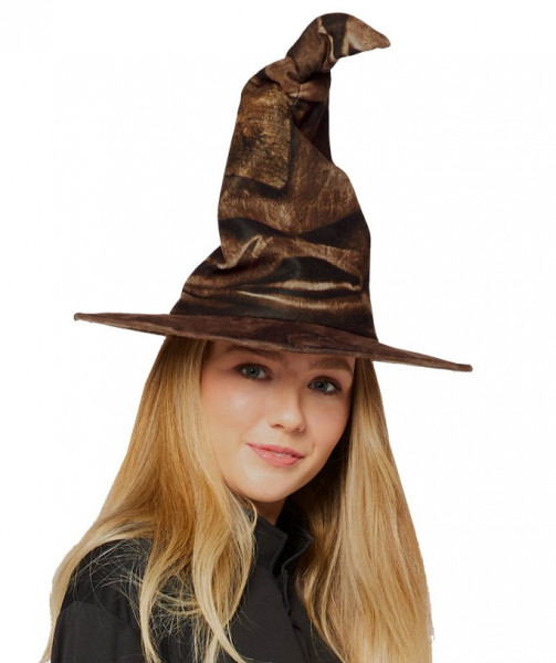 Harry Potter hoed in bruin