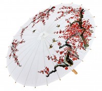 Chinesischer Kirschblüten Schirm