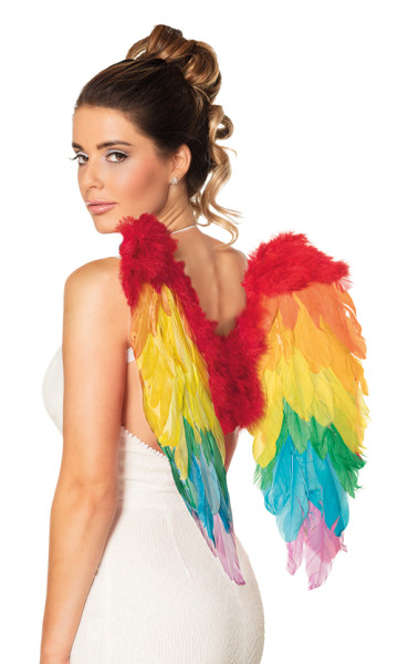 Colorful Pride angel wings 50 x 50cm