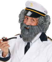 Vista previa: Barba completa gris con bigote