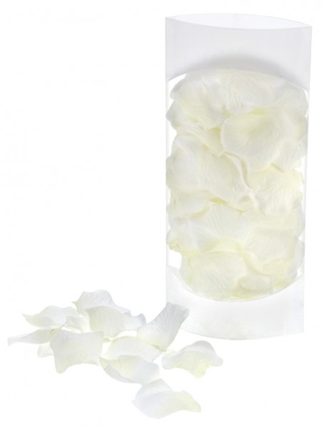 150 rose petals Wedding Dream cream