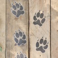 Preview: Jungle Breeze Paw Decal