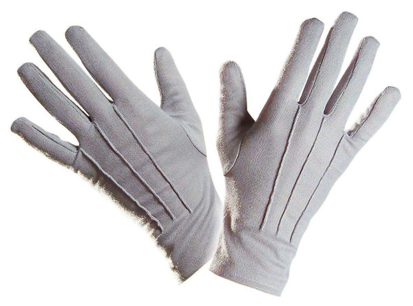 Gray elegant gloves