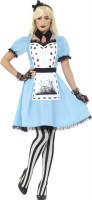 Oversigt: Crazy Alice Premium damer kostume