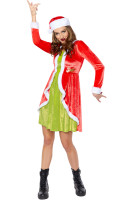 Preview: The Grinch costume for women