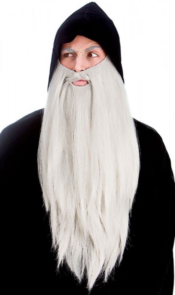 Barba de mago místico gris