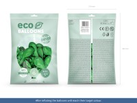 Voorvertoning: 100 eco pastel ballonnen groen 26cm