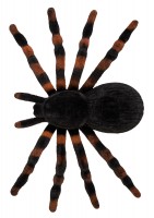 Widok: 4 pająki dekoracyjne na Halloween