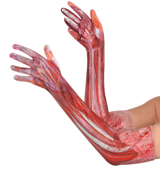 Gants sanglants pour tendons et veines