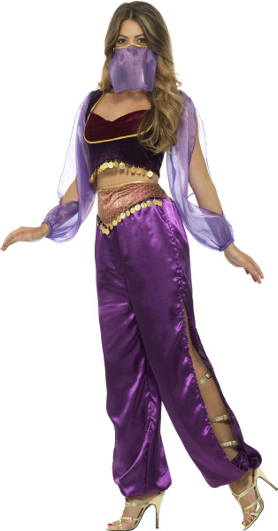 Arabian Nights Princess Costume