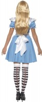 Voorvertoning: Alice In Wonder Forest dames kostuum
