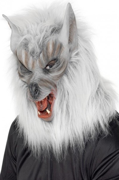 Maschera spaventosa del lupo di Halloween