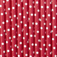 Oversigt: 10 stiplede papirstrå røde 19,5 cm