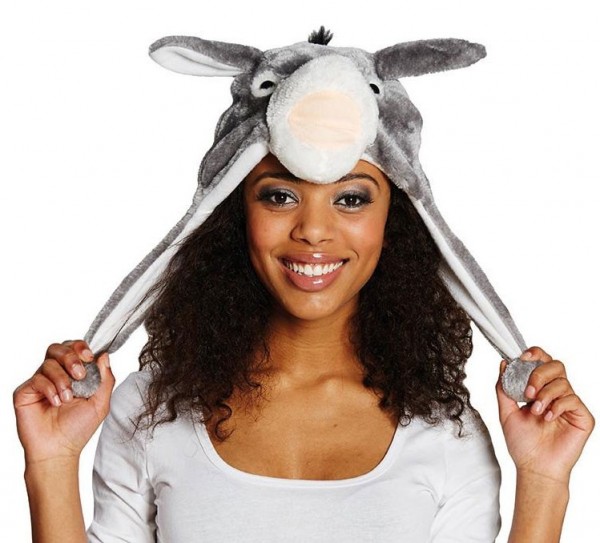 Cozy asino burro sombrero