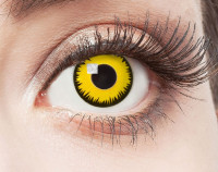Preview: Contact lens vampire fever yellow