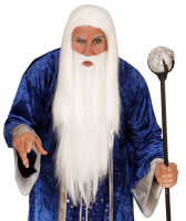 Oversigt: Gondolf troldmand parykk med skæg