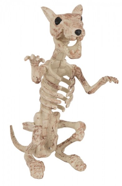 Décoration d'horreur Halloween squelette de rat 24x12cm