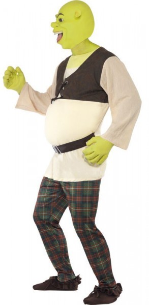 Green Shrek men’s costume