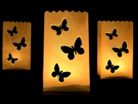 Voorvertoning: 10 kaarsen Lantaarns met vlindermotief 15x9x26cm