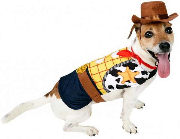 Woody dog costume