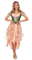 Spring Fairy Ladies Costume