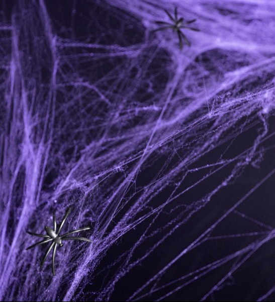 Paarse Horror Spinnenwebben 60g