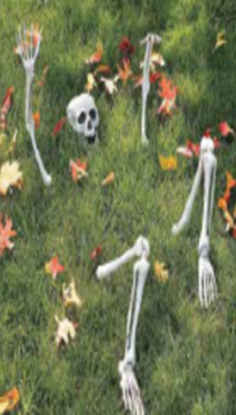 Decoratief figuur Skelet liggend