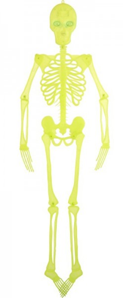 Squelette Archibald Neon 3m