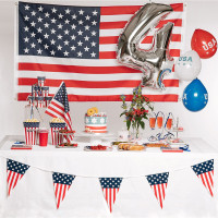 Preview: 10 paper plates Stars and Stripes 23cm
