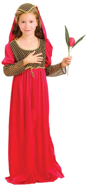 Kleines Burgfäulein Leonore Kleid