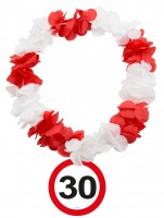 Traffic sign 30 Hawaii lane
