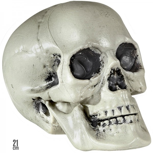 Uitgeholde decoratieve schedel 21cm