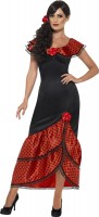 Oversigt: Flamenco danser kjole Alma