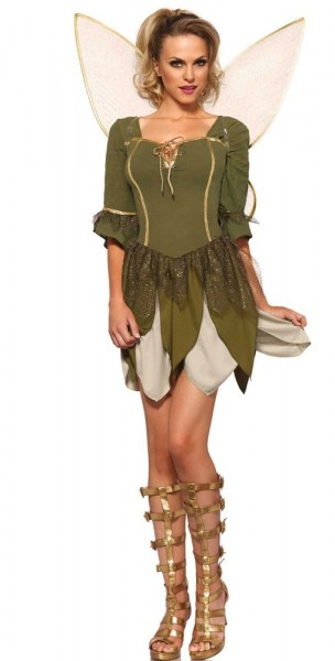 Holla The Forest Fairy Ladies Costume