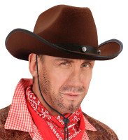 Brown cowboy western hat
