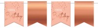 Vorschau: Rosy Blush Birthday Wimpelkette 6m