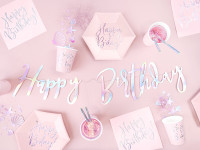 Oversigt: 6 lyserøde fødselsdagspapirplader 20 cm
