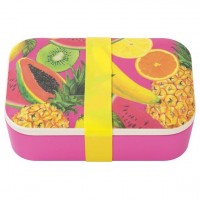 Widok: Ekologiczne pudełko na lunch z owocami