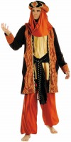 Arab sheikh costume brown
