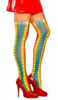 Preview: Rainbow overknee stockings 70DEN